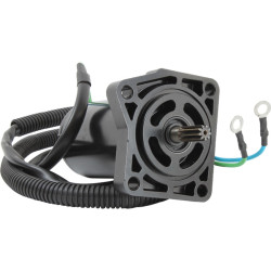 Motore di trim YAMAHA F20, F25, F30, F40 (1998-2022) ST-0319 PIECESBATEAUX.COM