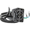 Motor de trimado YAMAHA F20, F25, F30, F40 (1998-2022) ST-0319 PIECESBATEAUX.COM