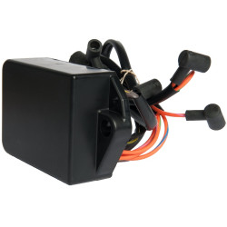 Centralina CDI JOHNSON EVINRUDE 85 a 115 CV (1989-97) REC0584028 PIECESBATEAUX.COM