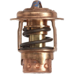 Termostato MERCURY 6 a 250CV 2-Tempi 75692 PIECESBATEAUX.COM
