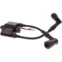 Bobina di accensione MERCURY e TOHATSU F8 e F9.9 (209CC) 8M0238104 PIECESBATEAUX.COM