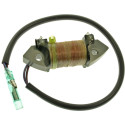 Bobina de excitación MERCURY MARINER y TOHATSU 8-9,9 CV 4-Tiempos 803844T01 PIECESBATEAUX.COM