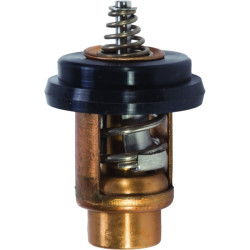Termostato MERCURY y TOHATSU de 2 a 30 CV 8M0228409 PIECESBATEAUX.COM