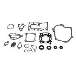 Juego de juntas de motor MERCURY 4, 5 y 6Cv 4-Tiempos 8M0114820 PIECESBATEAUX.COM