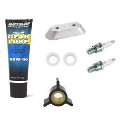 Revizione kit JOHNSON-EVINRUDE 4Cv 2-Tempi (1987 e +) modelli RC, RE, RL, RS JE2T4 PIECESBATEAUX.COM