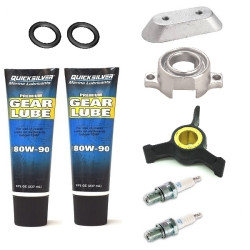 Revizione kit JOHNSON-EVINRUDE 40 e 50 CV 2 cilindri (dal 1989) JE2T40-50 PIECESBATEAUX.COM