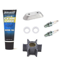 Revisión kit JOHNSON-EVINRUDE 9.9 y 15 CV 2-Tiempos JE2T9-9-15 PIECESBATEAUX.COM