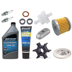 Revisión kit SUZUKI y JOHNSON 9.9 y 15 CV 4-Tiempos JE9-9-15 PIECESBATEAUX.COM