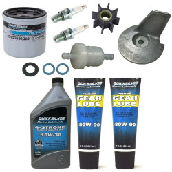 Revizione kit MERCURY 15 e 20Cv 4-Tempi Carburatore (351CC) ME20 PIECESBATEAUX.COM