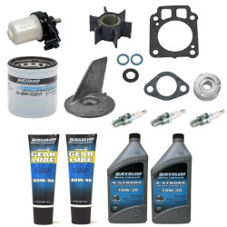 Revizione kit MERCURY 25 e 30Cv 4-Tempi EFI fino al 2021 ME25-30-EFI PIECESBATEAUX.COM