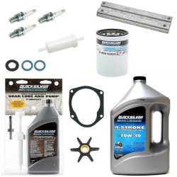 Revizione kit MERCURY 40Cv 4-Tempi 3 cilindri Carburatore ME40-CARB-3CYL PIECESBATEAUX.COM