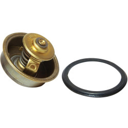 Termostato VOLVO AQ120 a AQ171 REC875580 PIECESBATEAUX.COM