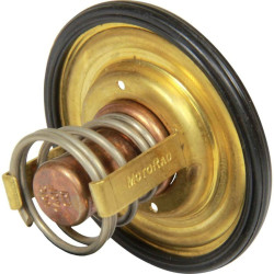 Termostato 60 °C VOLVO MB10A, MD6A/B, MD7A/B REC875796 PIECESBATEAUX.COM