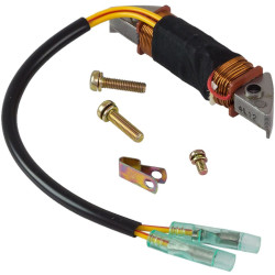 Bobina di Carica MERCURY e TOHATSU 4-6Cv 16837A2 PIECESBATEAUX.COM