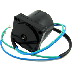 Motor de trimado JOHNSON EVINRUDE 65 a 225 CV (1991-1997) REC5005376 PIECESBATEAUX.COM