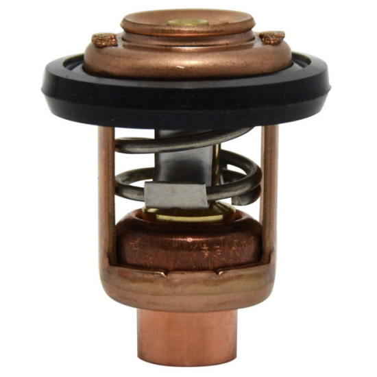 Termostato 50 °C HONDA BF4 a BF15 REC19300-881-761 PIECESBATEAUX.COM