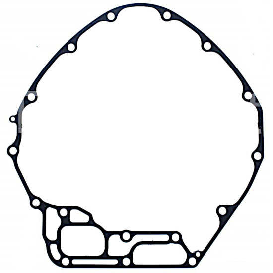 Guarnizione testata motore HONDA BF115A e BF130A REC23172-ZW5-013 PIECESBATEAUX.COM