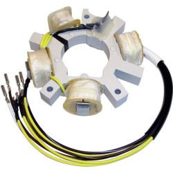 Estator JOHNSON EVINRUDE 9.9 a 60Cv 2-Tiempos 2Cilindros 173-1651 PIECESBATEAUX.COM