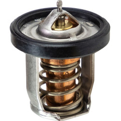Termostato SUZUKI DF2.5 a DF20A 17670-91J02 PIECESBATEAUX.COM