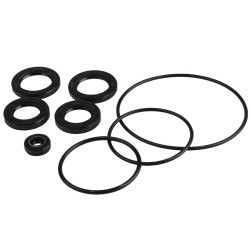 Kit guarnizioni piede motore SUZUKI DF150 a DF250 25700-93J00 PIECESBATEAUX.COM