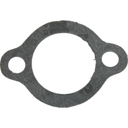 Junta de tapa de termostato EVINRUDE 337194 PIECESBATEAUX.COM