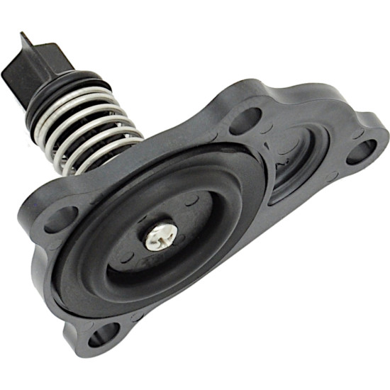 Kit de válvula de refrigeración EVINRUDE 15, 25, 30 E-TEC 5008181 PIECESBATEAUX.COM