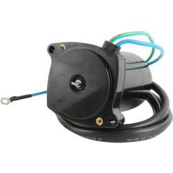 Motor de trimado YAMAHA F300 y F350 REC6AW-43880-22 PIECESBATEAUX.COM