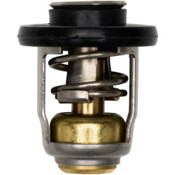 Termostato MERCURY e TOHATSU 9.9 a 20 EFI  (2017 e +) 8M0139434 PIECESBATEAUX.COM