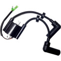 MERCURY and YAMAHA F8, F9,9 and F15 coil (1998-2007) PAF15-07000600 PIECESBATEAUX.COM