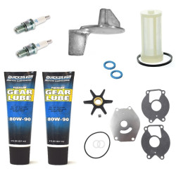 Revisión kit MERCURY 20 y 25 Cv 2 cilindros 2 Tiempos MRY20-25 PIECESBATEAUX.COM