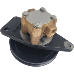 Bomba Sherwood G8002 ONAN SHE-G8002 PIECESBATEAUX.COM