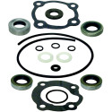 Kit guarnizioni piede motore JOHNSON EVINRUDE 25 CV (1984 e +) 396352 PIECESBATEAUX.COM