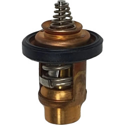 Termostato SUZUKI DF4 e DF6 (2005-2010) 17670-91J11 PIECESBATEAUX.COM