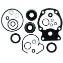 Kit guarnizioni piede motore JOHNSON EVINRUDE 20, 25 CV (1985 e +) 30, 35 CV (1976-1995) REC396351 PIECESBATEAUX.COM