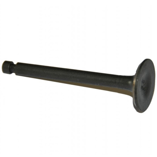 Válvula de escape YAMAHA F2.5 6AU-12121-00 PIECESBATEAUX.COM