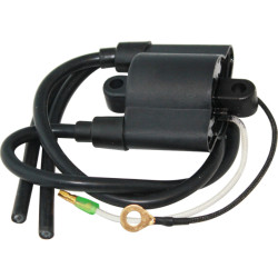 Bobina de encendido MERCURY y YAMAHA F75-F100 (2000-2005) REC67F-85570-00 PIECESBATEAUX.COM