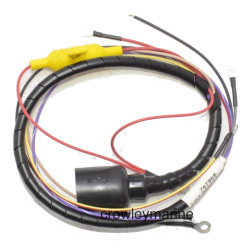 Haz de cables del motor JOHNSON-EVINRUDE de 40 a 60 CV (1979-1984) 767968 PIECESBATEAUX.COM