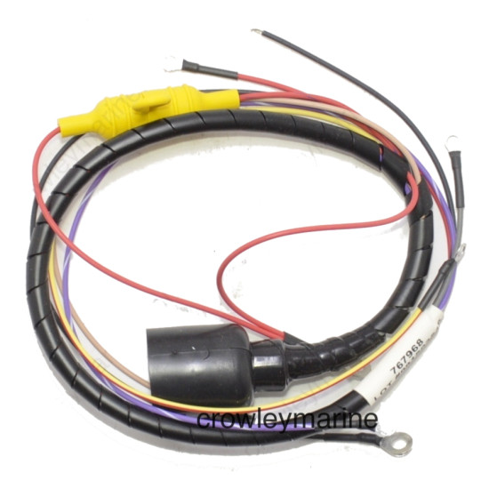 Haz de cables del motor JOHNSON-EVINRUDE de 40 a 60 CV (1979-1984) 767968 PIECESBATEAUX.COM