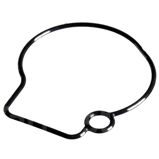 Guarnizione pompa acqua TOHATSU 3C7-65018-0 PIECESBATEAUX.COM