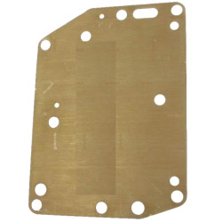 Placa de agua MERCURY 7.5 y 9.8 85935 PIECESBATEAUX.COM