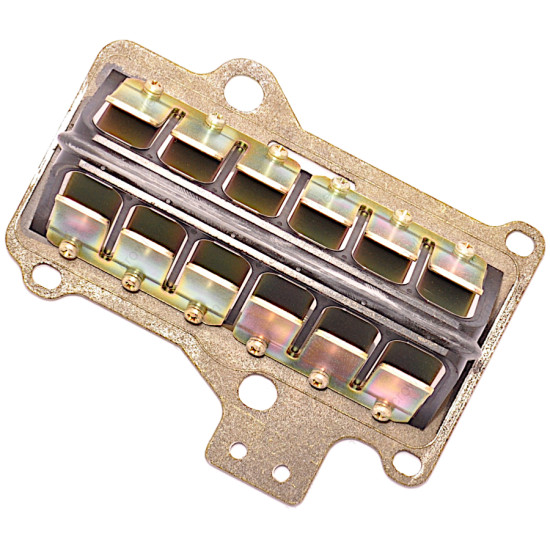 Reed Block MERCURY 15 bis 25 PS 2-Takt 14112T PIECESBATEAUX.COM