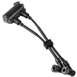 Bobina di accensione HONDA BF6B, BF8A, BF75, BF100 30500-ZV8-G01 PIECESBATEAUX.COM