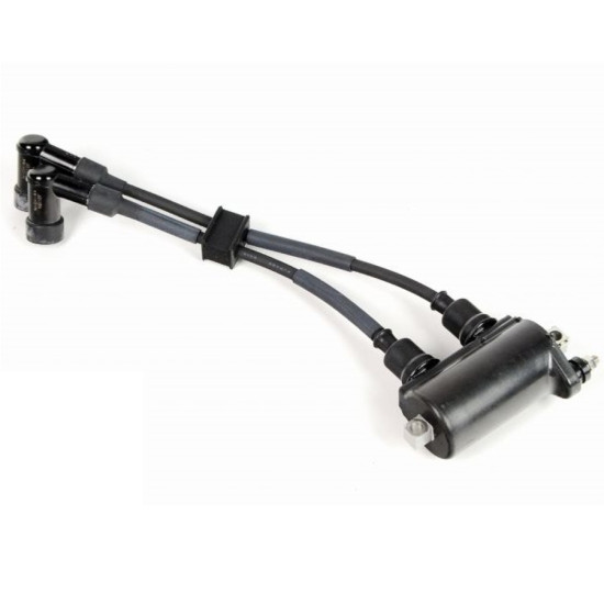 Bobina di accensione HONDA BF6B, BF8A, BF75, BF100 30500-ZV8-G01 PIECESBATEAUX.COM
