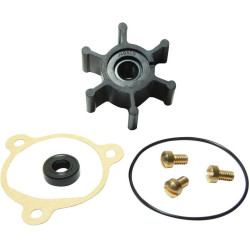 Kit di manutenzione pompa JABSCO Water Puppy 23680 SK224 PIECESBATEAUX.COM