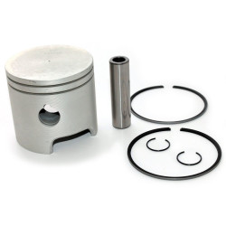 Pistone JOHNSON EVINRUDE da 40 a 60 CV (1980-1994) 5006655 PIECESBATEAUX.COM