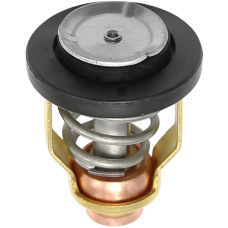 Thermostat 60C HONDA BF225D, BF250A, BF250D