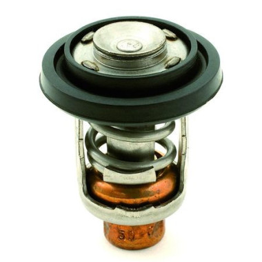 Termostatos Johnson Evinrude