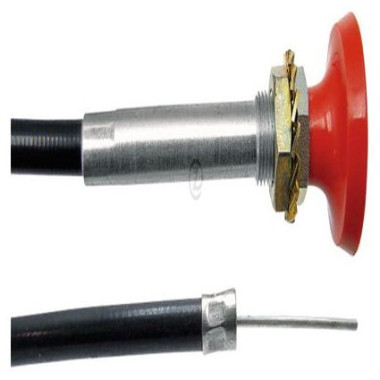 Linguette a strappo marine